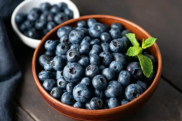 Why Is Blueberry Extract Known as the “Antioxidant Jewel of Nature”?